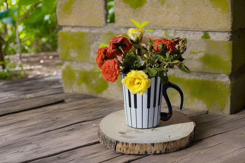 Creative wall gardens